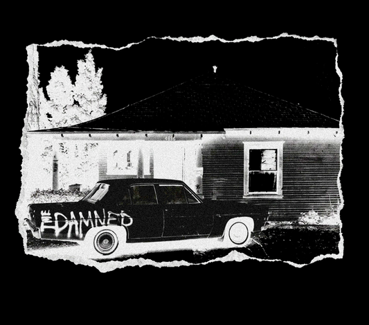 The Damned vintage photo shirt T Shirt