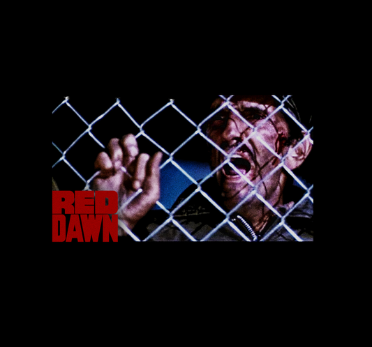 Red Dawn Avenge Me! Harry Dean Stanton T-Shirt