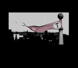 Royal Tenenbaums Flag shirt Wes Anderson tribute