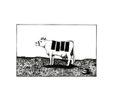 Punk Rock Cow ringer T-Shirt