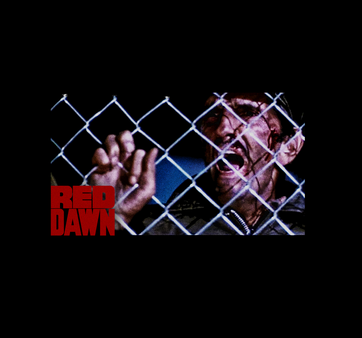 Red Dawn Avenge Me! Harry Dean Stanton T-Shirt