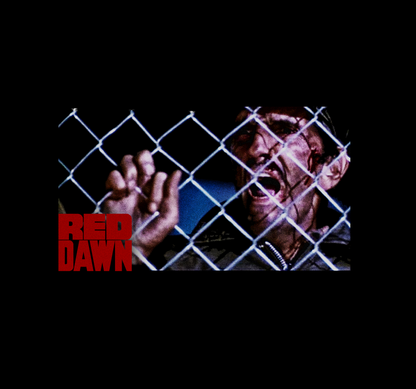 Red Dawn Avenge Me! Harry Dean Stanton T-Shirt
