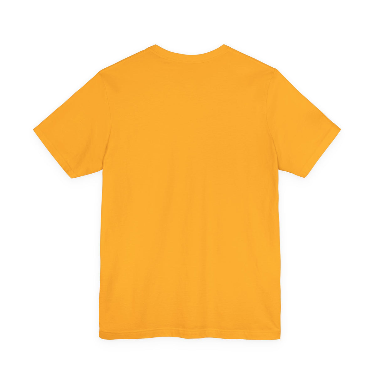 Robin Trower 1976 retro concert T-Shirt